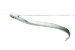 Marinus: Sea Lamprey