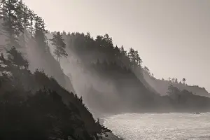 Rises: Sea mist rises along Indian Beach at Ecola State
