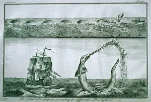 Monsters: Sea Monster - print from Pontoppidan 1755