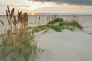 Cameron: Sea Oats on Gulf of Mexico at South Padre
