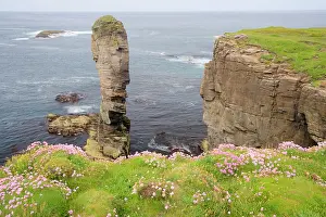 Yesnaby: Sea stack Yesnaby Castle and cliffs