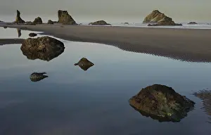 Stacks: Sea Stacks