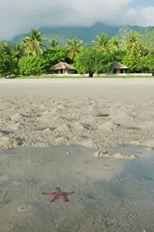 Vila: Sea star at Tua Koin resort