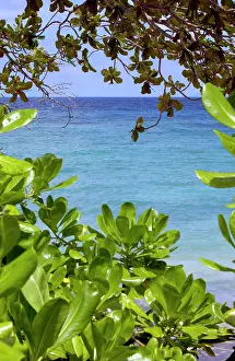Tioman: Sea at Tioman Island at high tide -seen through