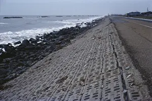 Prevention: Sea Wall
