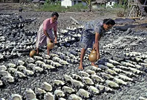 Gourds: Sea water drying in clam shells is is the only