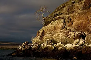 Santo: Seabird colonies on the Mariellas islands, evening