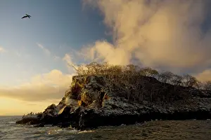 Santo: Seabird colonies on the Mariellas islands, evening