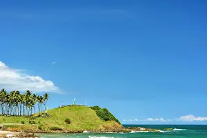 Resort: Seafront of the city of Salvador in Bahia with coconut
