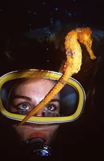 Bubbles: SEAHORSE - & Scuba Divers face