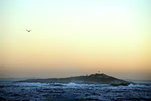 Habtiat: Seal Island - at dawn