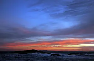 Habtiat: Seal Island - At sunrise