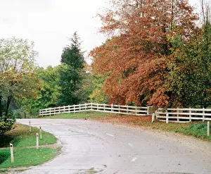 Sealed: Sealed road and fence near Bright