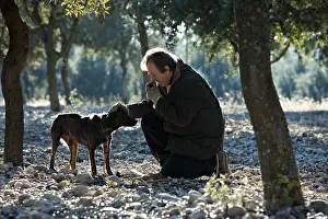 Yield: Search of the black truffle in Southern France