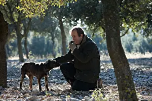 Yield: Search of the black truffle in Southern France