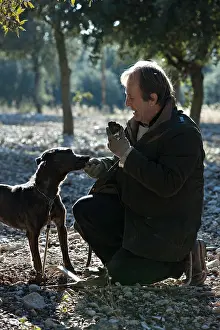 Yield: Search of the black truffle in Southern France