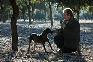 Yield: Search of the black truffle in Southern France