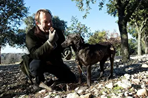 Yield: Search of the black truffle in Southern France