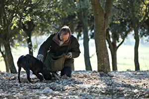 Yield: Search of the black truffle in Southern France