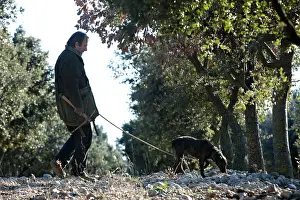 Yield: Search of the black truffle in Southern France