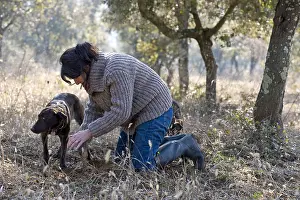 Orchards: Search of Black Truffles with a truffle Dog Provence