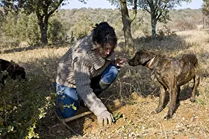Tools: Search of Black Truffles with truffle Dogs Provence