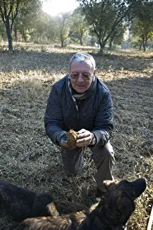 Pleasant: Search of Black Truffles with truffle Dogs Provence