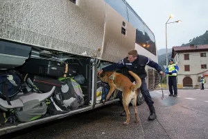 Materials: Search for drugs in the hold of a car - France