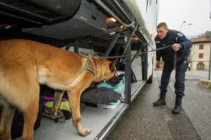 Materials: Search for drugs in the hold of a car - France