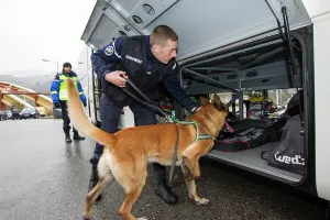 Materials: Search for drugs in the hold of a car - France