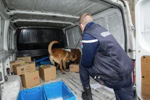 Materials: Search for drugs in the hold of a car - France