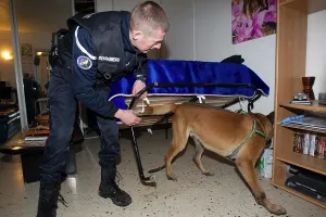 Shelf: Search narcotic during a house search - France