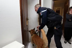 Quest: Search narcotic during a house search - France