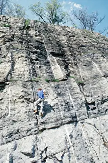 Kingston: Searching for Fossils