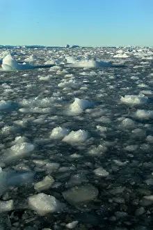 Drifting: Seascape drifting ice floes and breaking sea ice Summer