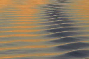 Rippling: Seascape sea patterns at sunset