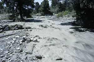 Silty: Seasonal River