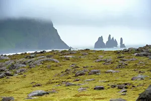 Seastack: Seastacks and rock formations on a misty day, Iceland