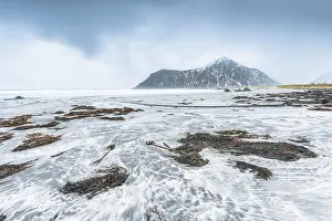 Flakstad: Seaweed on the beach at Utakleiv