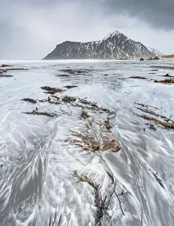 Flakstad: Seaweed on the beach at Utakleiv