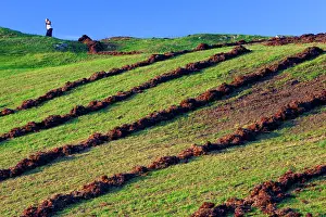 Fertilizer: Seaweed Fertilizer - Farmer spreading seaweed on