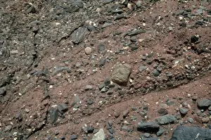 Bedding: Sedimentary Layers