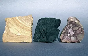 Conglomerate: Sedimentary Rocks