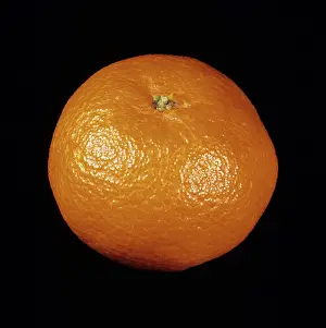 Seedless: Whole Seedless Clementine