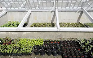 Organized: Seedtray