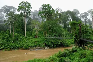 Habtiat: Segama river at lowland rainforest of Danum Valley