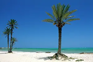 Tunisia: Seguia Beach, Djerba, Tunisia, Africa