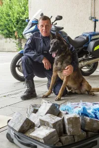 Herding: Seizure of cannabis resin - France