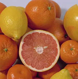 Tangerine: A selection of citrus fruits