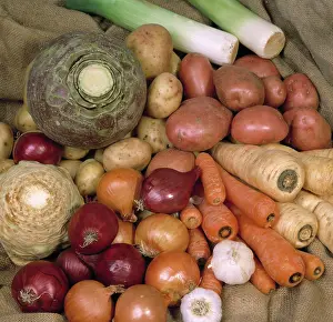 Onion: A selection of harvested root vegetables